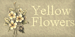 Yellow Flowers Set