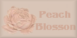 Peach Blossom Set
